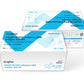 Diagfest Covid-19/RSV/Influenza A&B Antigen Test Kit 1/5/20/25 Test